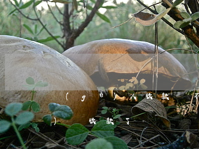 個(gè)人收款碼不能用于經(jīng)營收款了嗎？